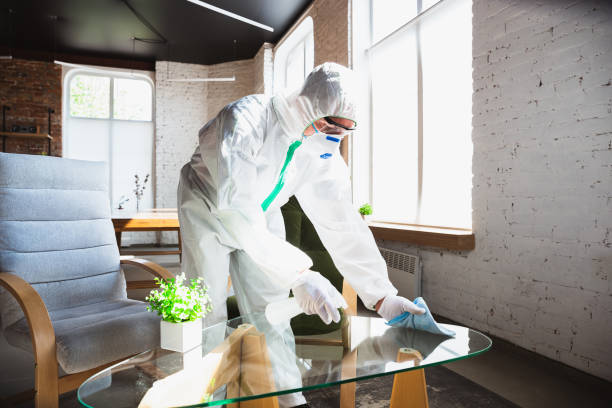  Wadena, MN Mold Removal Services Pros